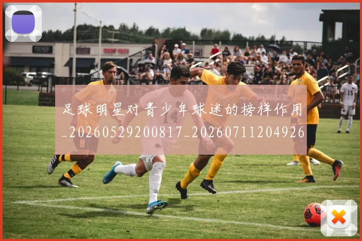足球明星对青少年球迷的榜样作用_20260529200817_20260711204926