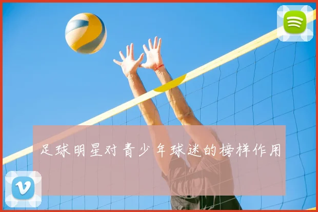 足球明星对青少年球迷的榜样作用